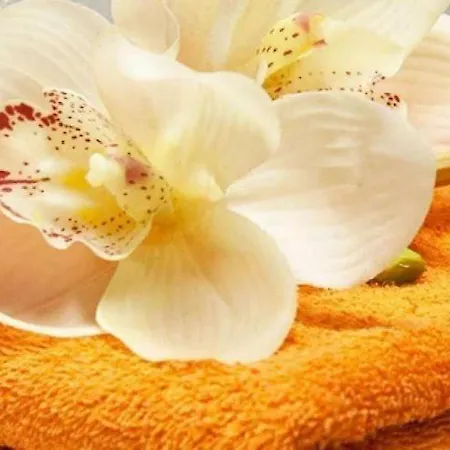 La Tenuta I Fichi D'india Bed & Breakfast *