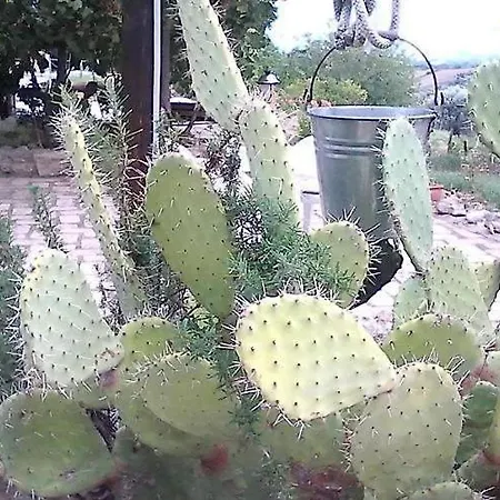 La Tenuta I Fichi D'india * Piano di Santa Laura